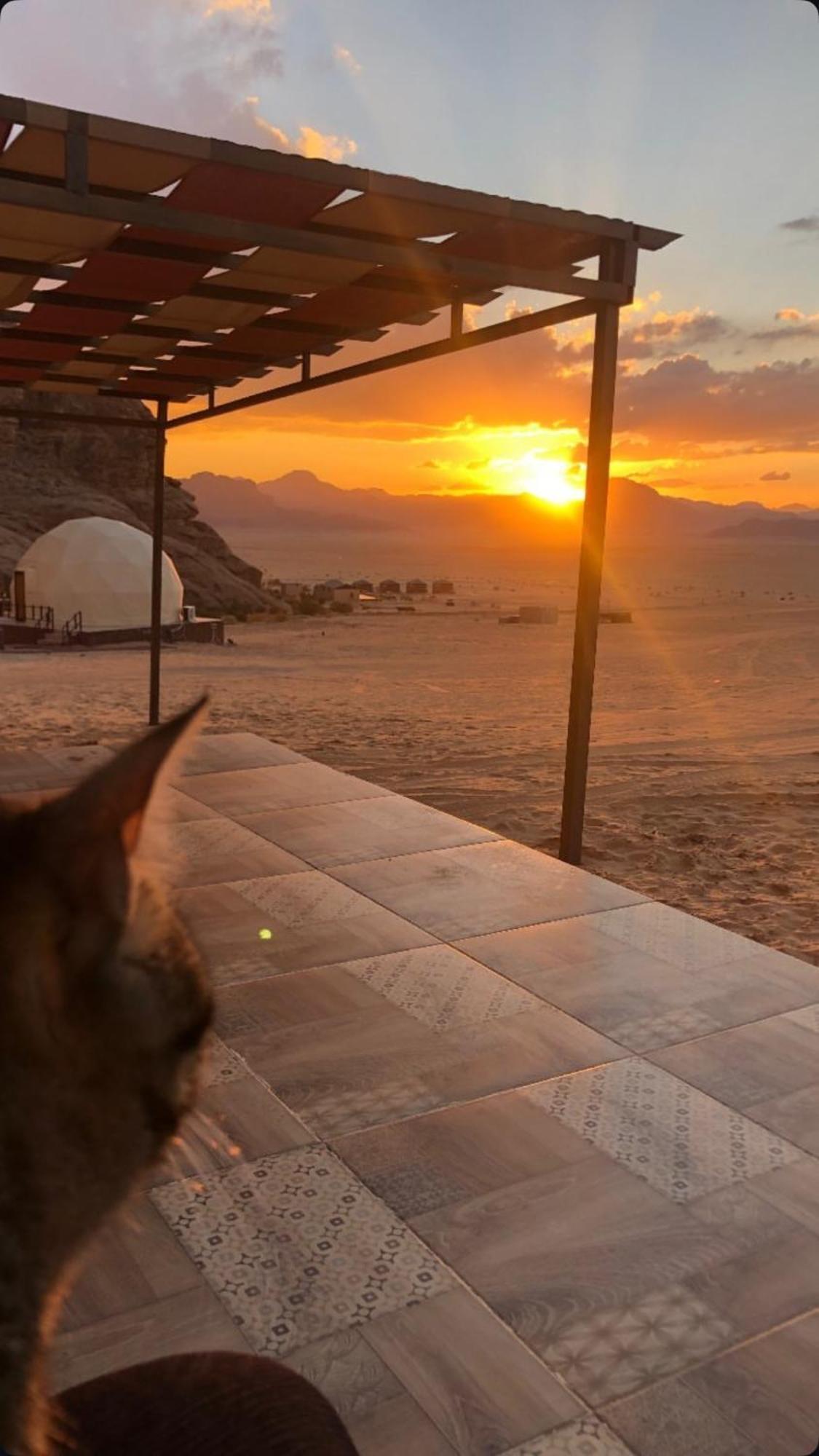 Wadi Rum Mars Camp Dış mekan fotoğraf